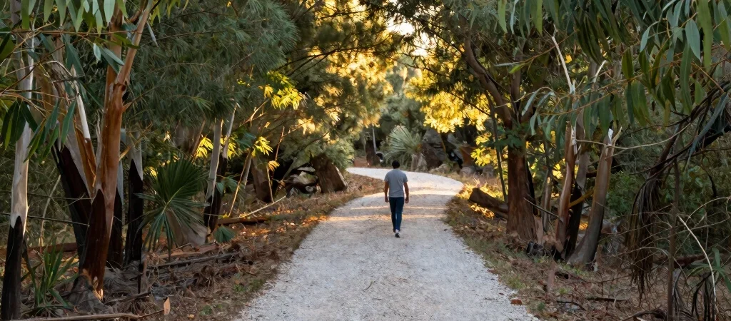 Why Low-Intensity Movement Preserves Long-Term Joint Health