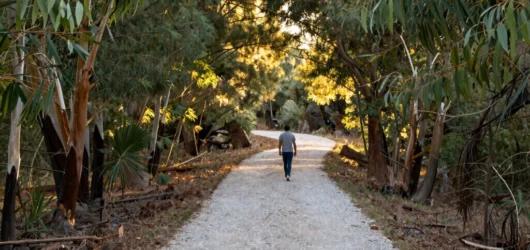 Why Low-Intensity Movement Preserves Long-Term Joint Health